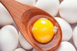 پاسخ‌های علمی درست به باورهای تغذیه‌ای نادرست؛ آیا مصرف زرده تخم مرغ در کهنسالی مضر است؟ پاسخ: خیر